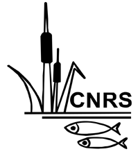 CNRS
